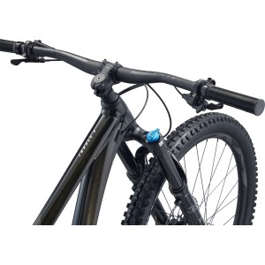 Bicycle Giant Trance X 29 1 Panther 2022 Giant