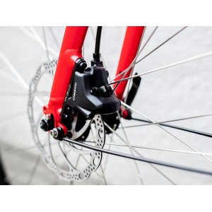 Trek FX 2 Disc Equipped - Satin Viper Red 2023 Trek Bikes