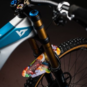 Paraphate Unleazhed Mudguard M01 Candy Shop Unleazhed