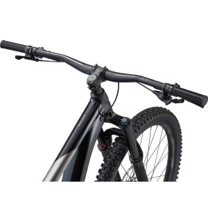 Bicycle Giant Reign 2 Black/Metal 2023 Giant