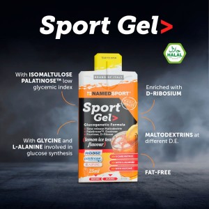 Named Sports Lemon Ice Ice Tea 25ml Named