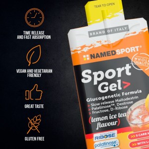 Named Sports Lemon Ice Ice Tea 25ml Named