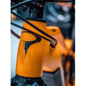 Bike E-bike Pinarello Nytro Dust 2 2021 A576 Tg. S Sahara Orange Pinarello